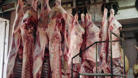 raw beef carcasses hung on hooks in a slaughterhouse