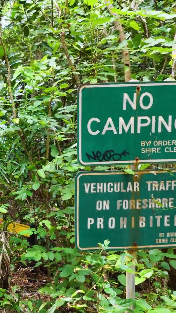 La telecamera si muove attraverso una fitta foresta tropicale, oltre i cartelli 'Vietato campeggiare' e i segnali di pericolo, rivelando una vegetazione lussureggiante e un sottobosco naturale in piena luce naturale
