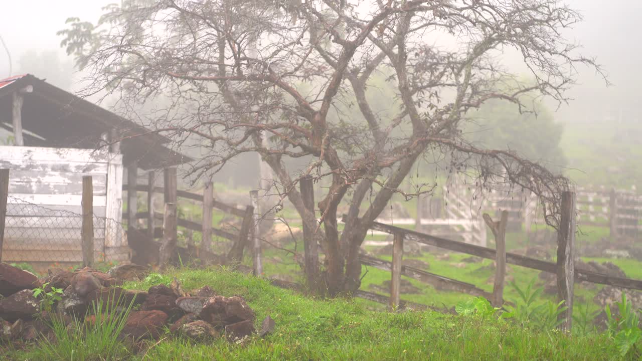농장의 기울기. 안개 농장의 연못