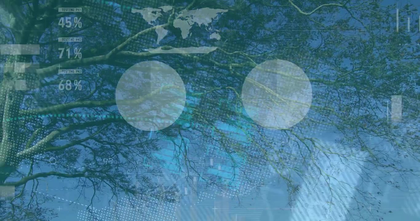 Upon bar lines appearing, data overlay animating gauges and charts illustrating metrics over canopy