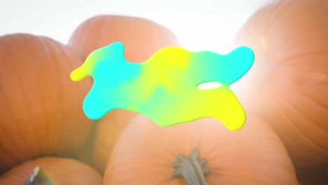 animación de salpicaduras azules y amarillas sobre el parche de calabaza