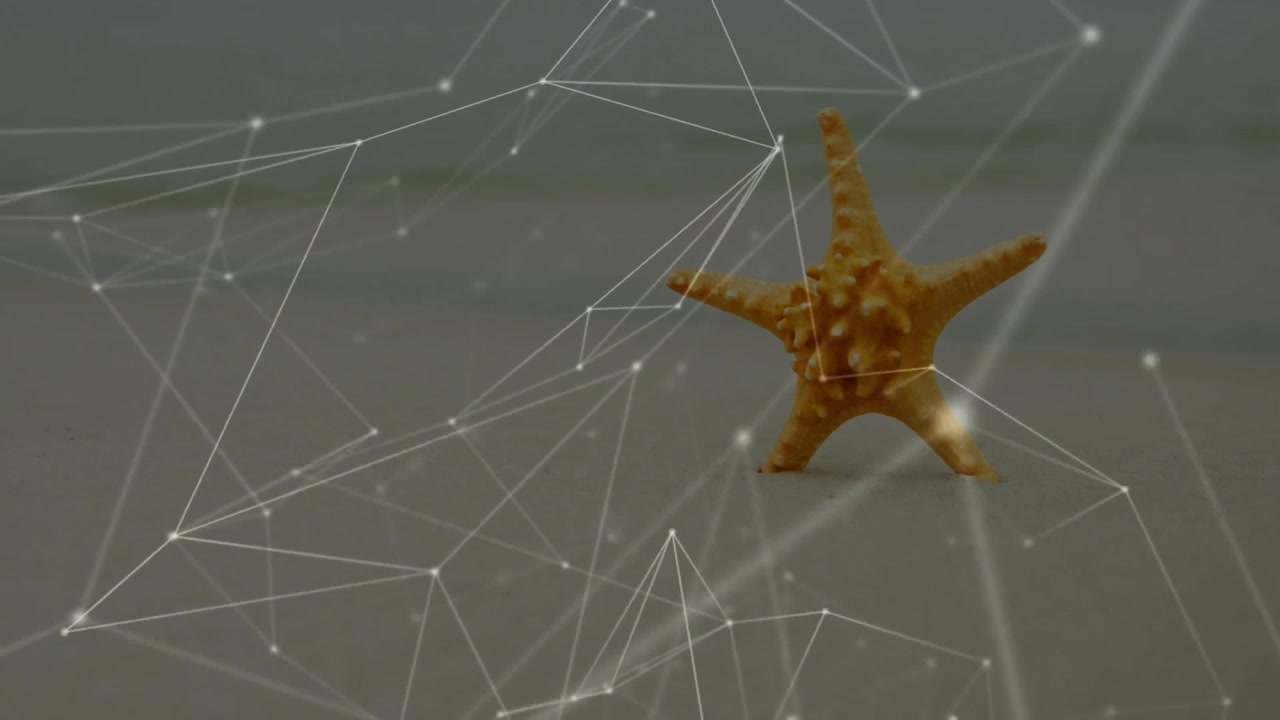 Malha de wireframe animada emergindo da esquerda, pulsando ao redor de uma estrela-do-mar e recuando para mostrar o fluxo de dados.
