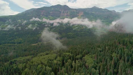 drone view of colorado trees on mountaineous region