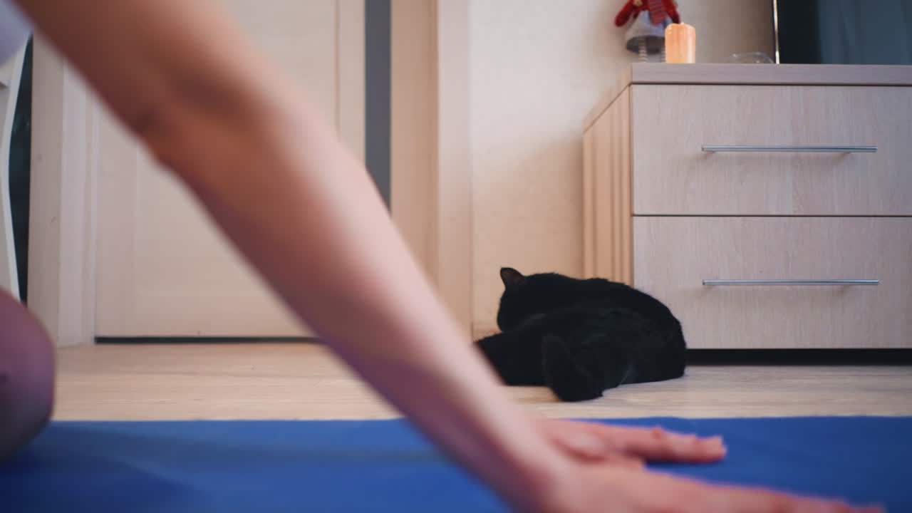Relaxed Yoga Session With Observing Black Cat, Peaceful Home Yoga Practice With Curious Black Feline Nearby, Calm Morning Yoga Pose Watched Over By Tranquil Black Cat In Cozy Setting
