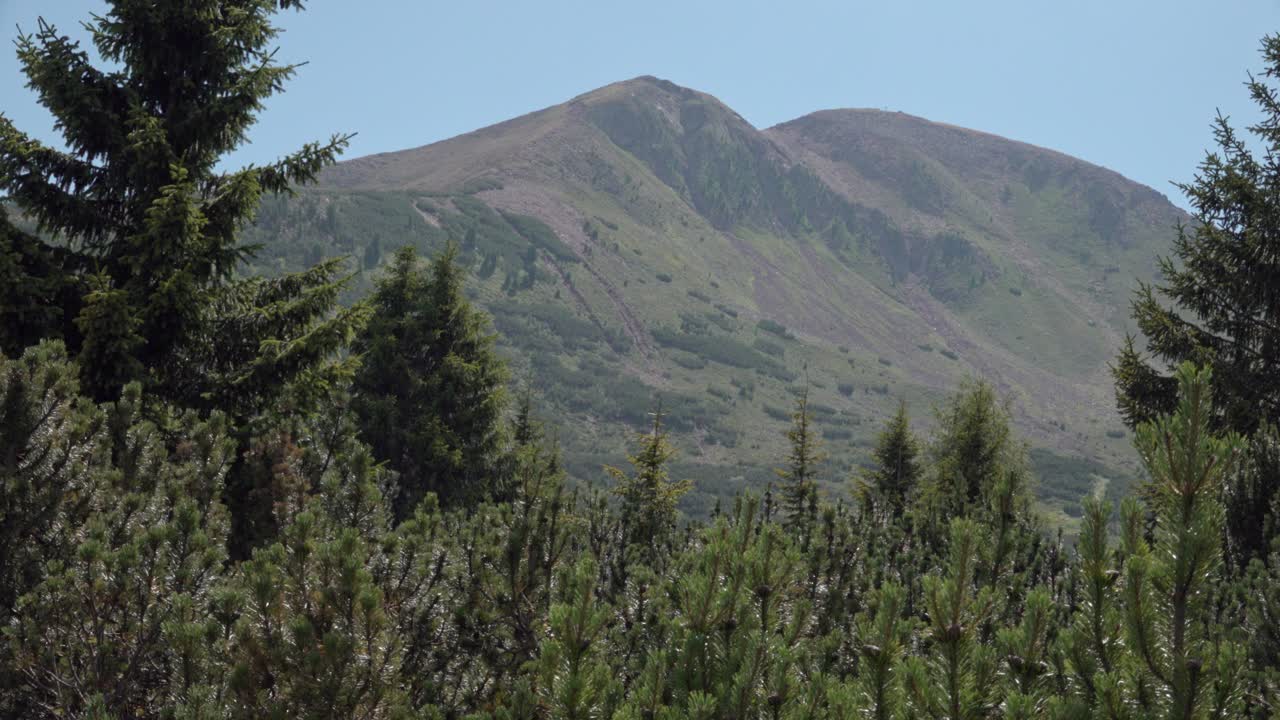 vista hacia schwarzhorn - corno nero desde jochgrimm - passo di oclini, tirol del sur, italia