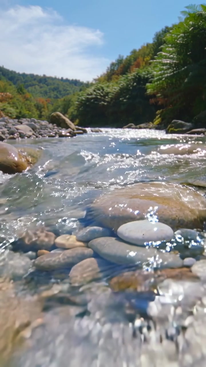 Vertical video: Panning camera revealing shallow streambed in hills, with stones and fallen log