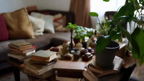 cozy living room with books and plants