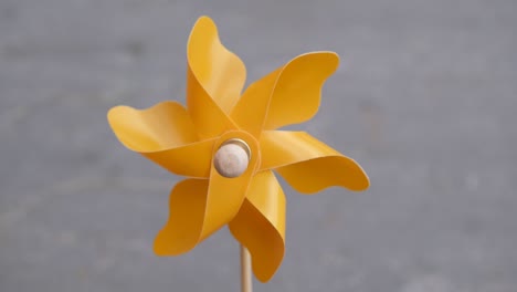 una sola rueda de pinos de color amarillo girando muy rápido contra las losas grises del patio