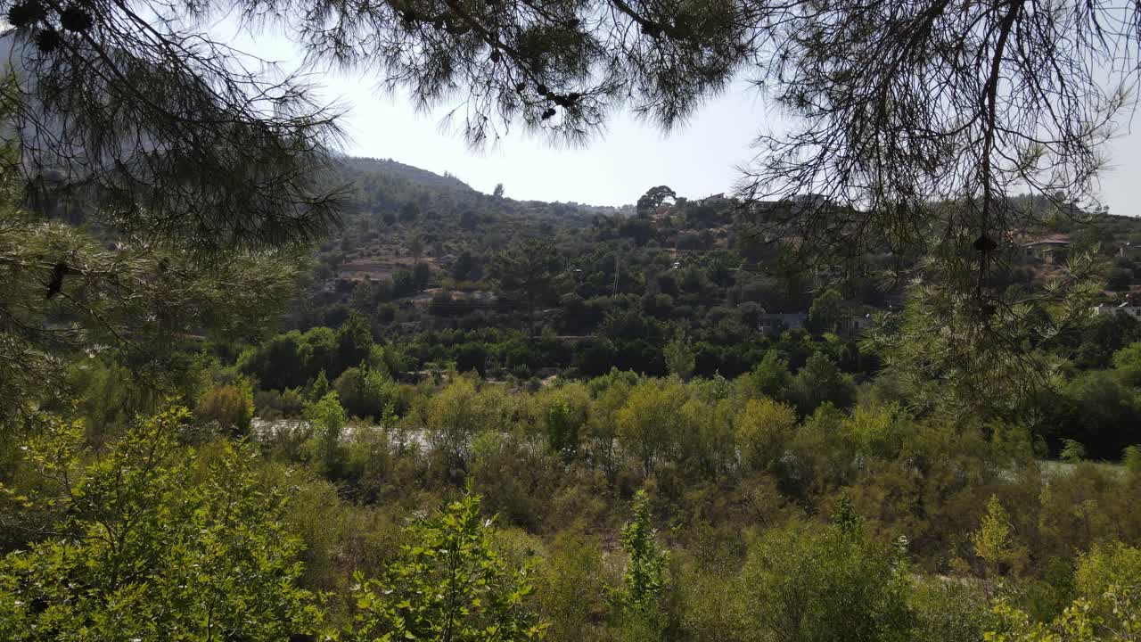 Bellezza della Natura Verde