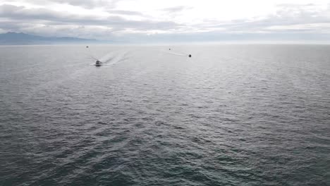 boats scramble to fish at sea