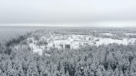 Draufsicht-Auf-Den-Winterwald.-Luftaufnahme.