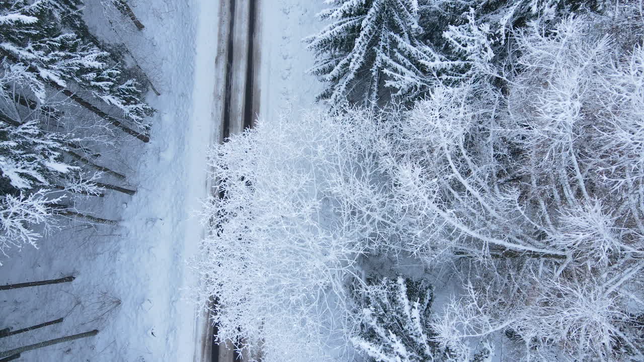 Aerial drone shot over snowy winter tree forest with beautiful rural road