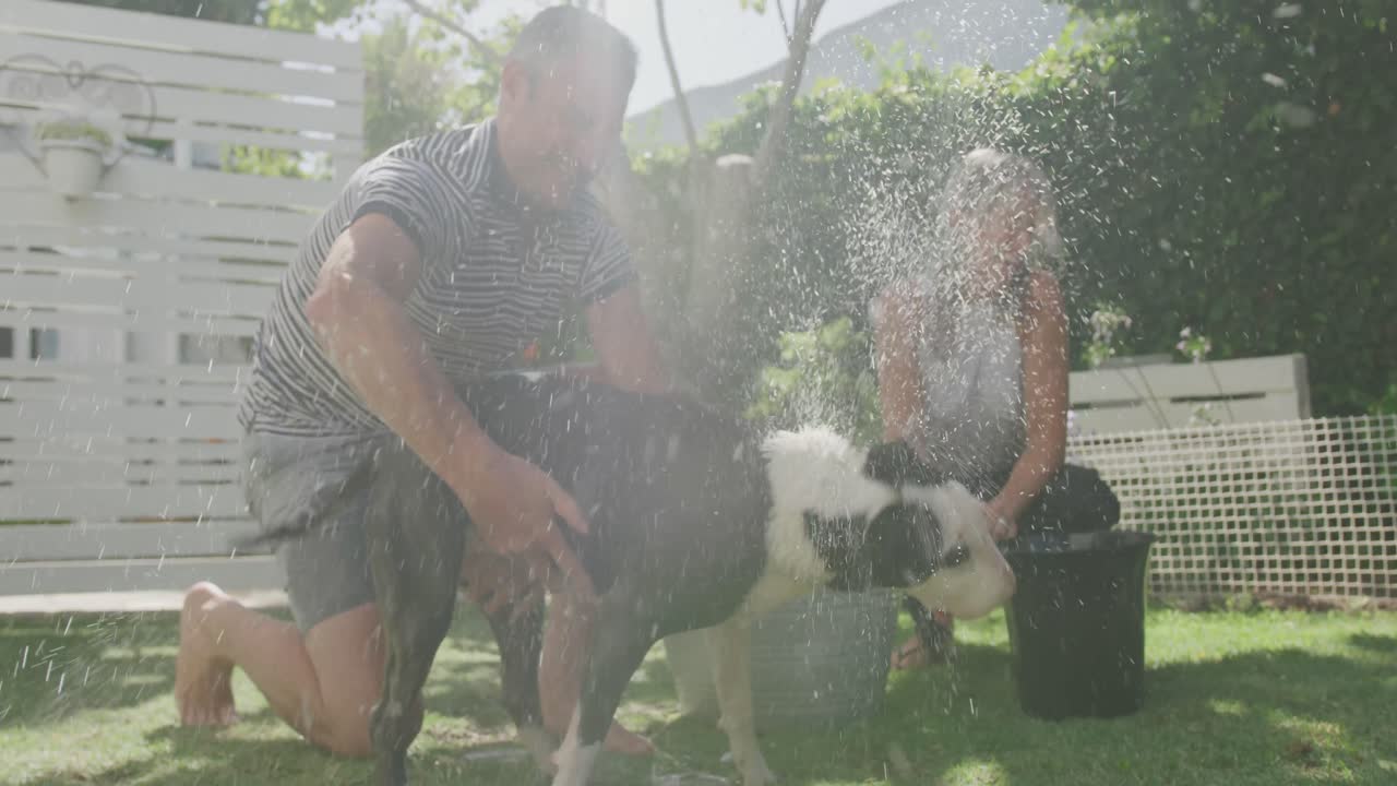 정원 부부 가 개 를  ⁇ 고 있다