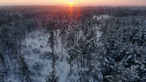 Schneefall.-Winter-Wunderland.-Es-Schneit-Verschneit.-Sonnenuntergang,-Dämmerung,-Sonnenschein.-Waldbäume-Wald-Natur.-Zeitlupe.-Winterhintergrund.-Romantisches-Wunderland.-Wunderschöne-Umgebung