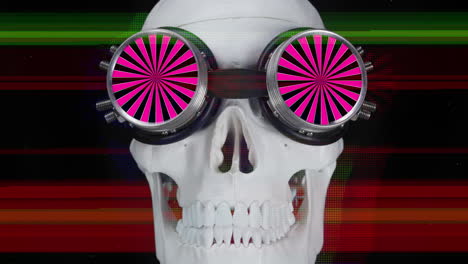 human skull with sunglasses