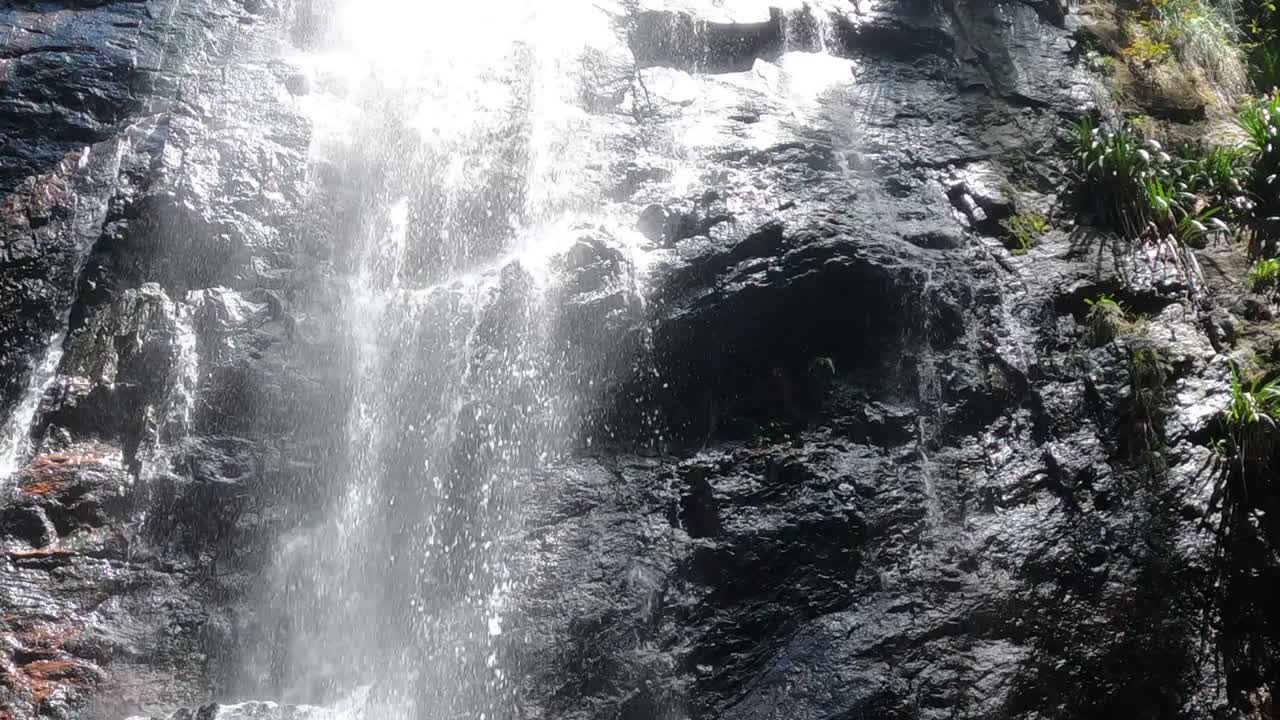 바위 숲의 폭포 아래로 흐르는 물