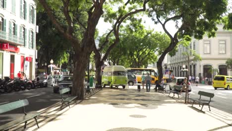 funchal, madeira: a charming city street scene