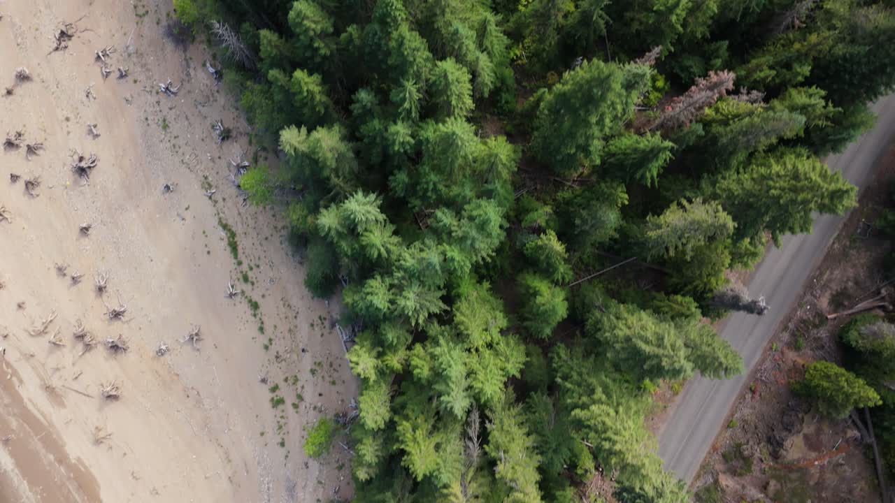 Aerial View of Forest and Shoreline