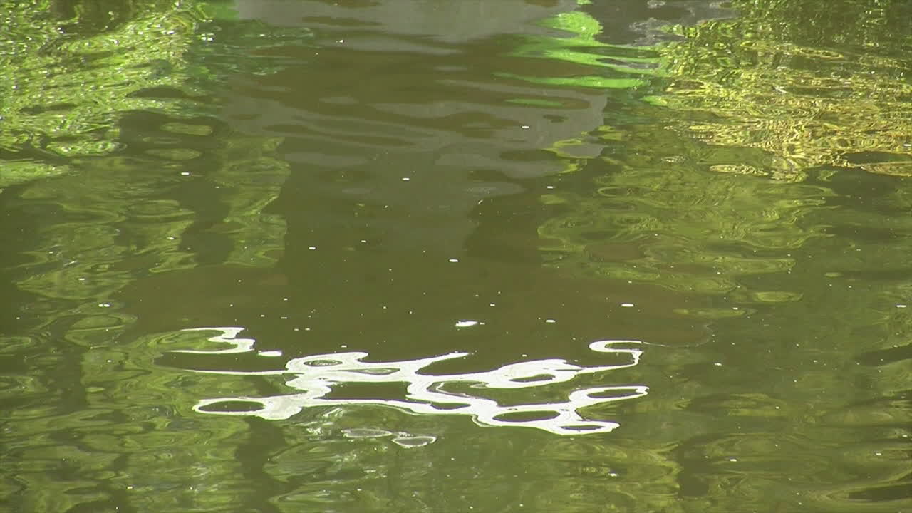 A Japanese lantern reflected in rippling pond water