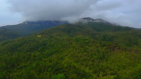 Während-Die-Drohne-über-Dem-Tropischen-Berg-Schwebt,-Sinkt-Sie-Allmählich-Ab-Und-Gibt-Den-Blick-Auf-Den-Dichten-Wald-Darunter-Frei,-Der-Sich-An-Einem-Bewölkten-Tag-Nähert