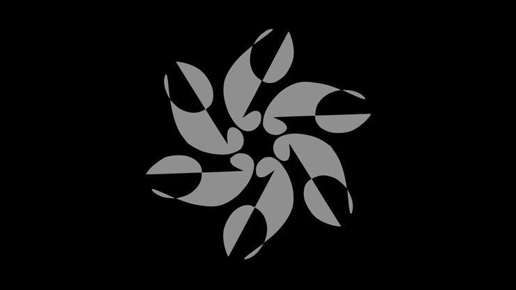 Video animation in black and white with psychedelic and hypnotic effect in 4K
