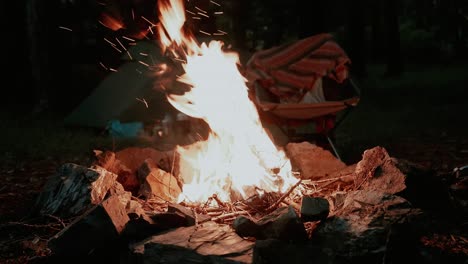 close-up of wood campfire burning in front of campsite
