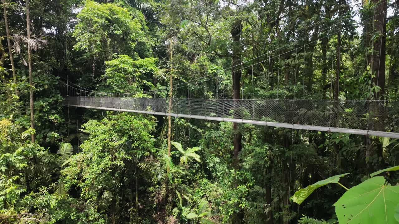 Serene view of a hanging bridge passing through a dense tropical rainforest in Costa Rica