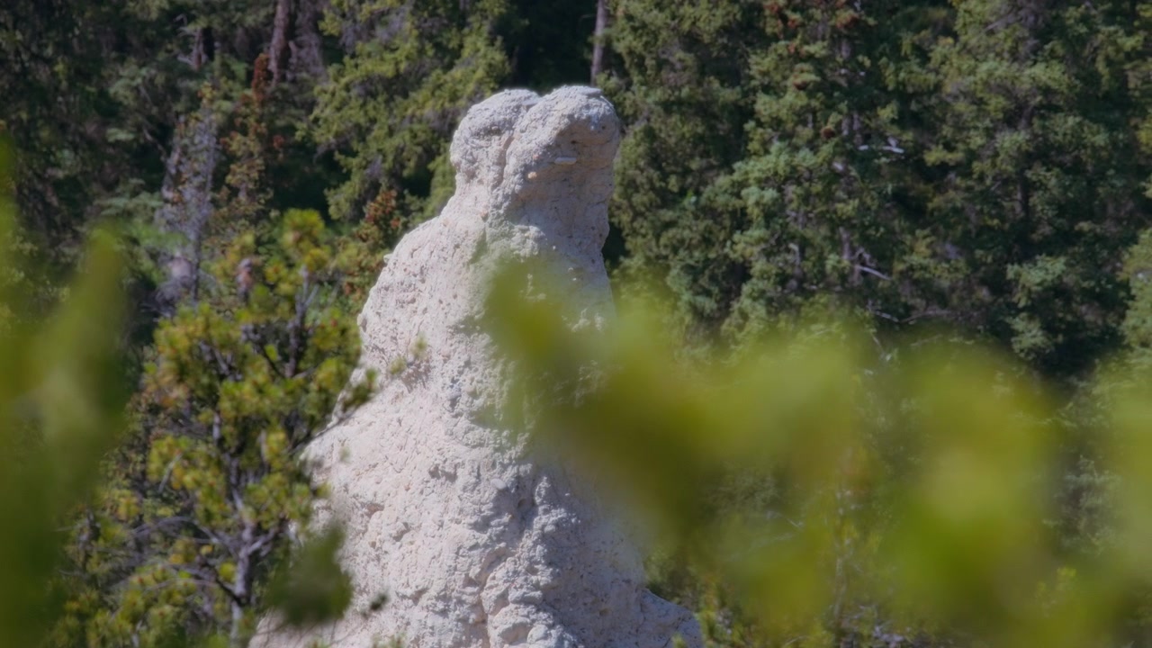 Close up of Hoodoos rock formations in Banff National Park, Canada.