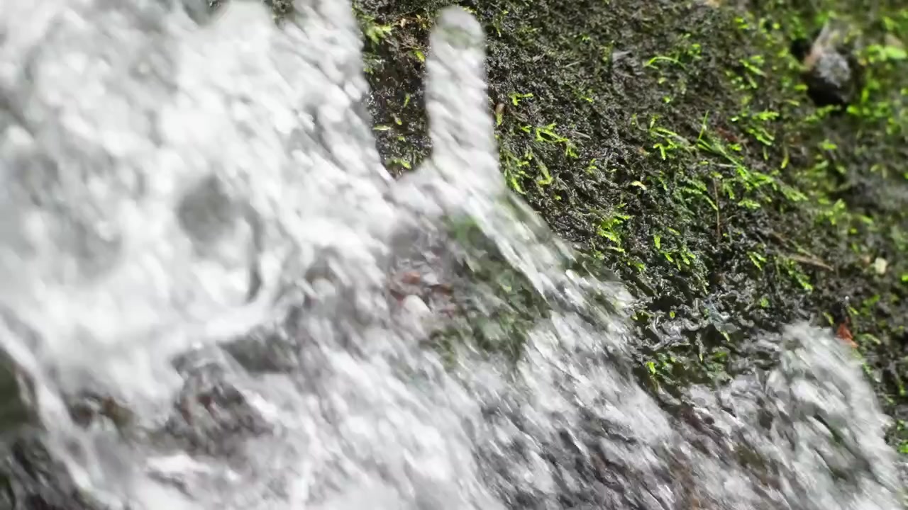 Acqua fresca e limpida scende rapidamente a cascata da una ripida roccia scura ricoperta di muschio verde.