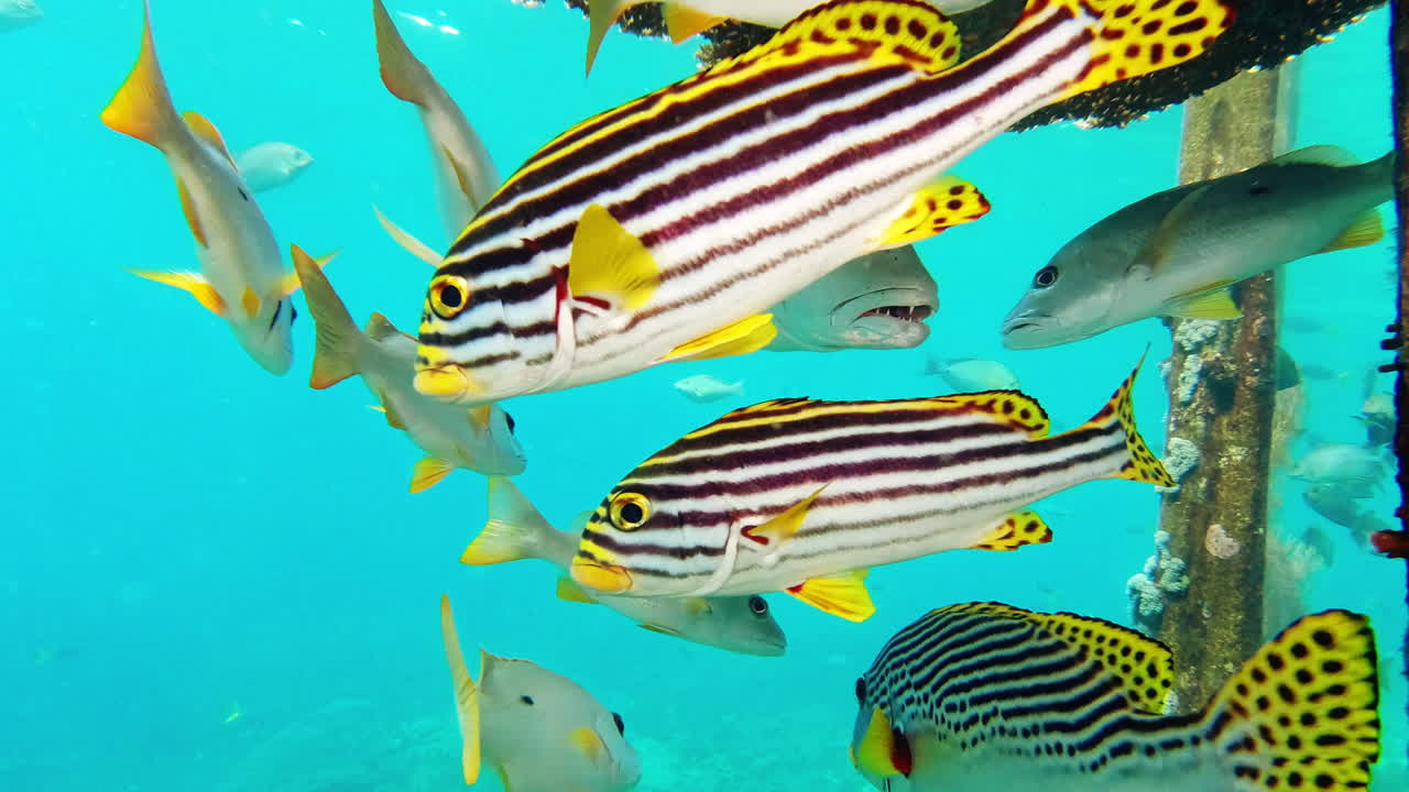 우린 항상 함께합니다.