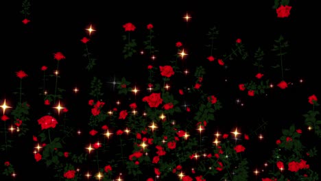 rose flower particle loop animation