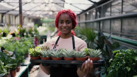 lovely multiethnic worker holding row of young succulents