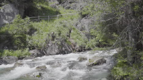 Stream-in-the-woods-of-the-italian-Alps-in-slow-motion-100-fps