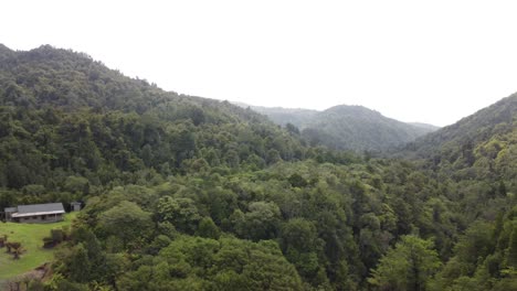 Cabaña-En-El-Bosque-Nativo-De-Nueva-Zelanda-4k-Drone-Shot