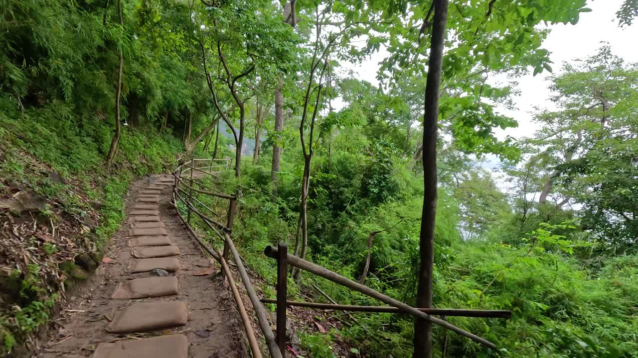 나무 계단 과 레일링 이 있는 울창 한 숲 길