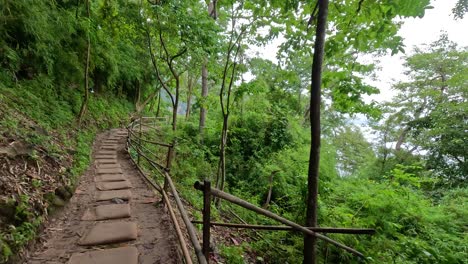 lush forest path with wooden steps and railings