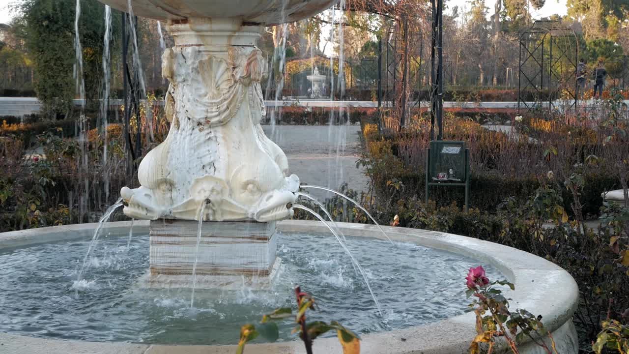 Pedestal of Pan god fountain at Rosaleda in Retiro Park, Madrid. Water falling from basin and pouring from fish mouth. Roses around and people walking in the distance enjoying sunset. Woman walks past