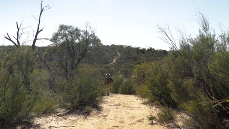 un swagman australiano caminando a lo largo de una pista de arena del desierto