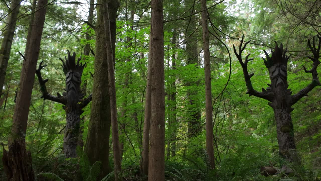 Gimbal wide panning shot of tree creatures during Halloween at Capilano Suspension Bridge Park in North Vancouver, British Columbia, Canada. 4K