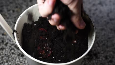 las rodajas de tomates rojos colocadas en tierra para macetas están cubiertas por una mano blanca con tierra