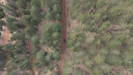 drone captures a car driving through a dense forest, as it navigates through the winding path