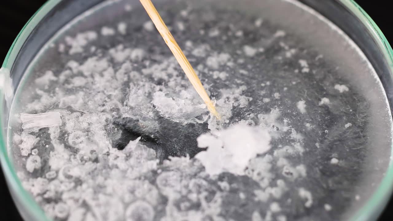 과학 실험에서 형성되는 결정