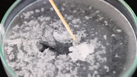 la formación de cristales en un experimento científico