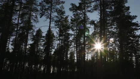 Drone-flying-sideways-in-the-woods,-sun-shining-through-the-trees