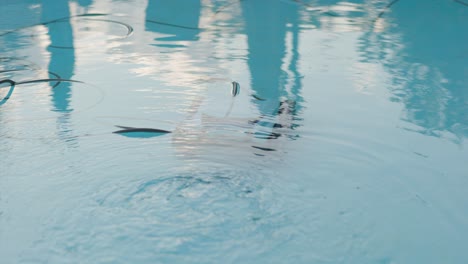 Electric-Pool-Cleaning-Robot-Descends-into-Deep-Section-of-Swimming-Pool-with-Clear-Reflective-Water