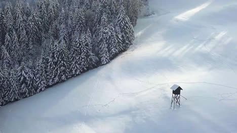 the picturesque church of sveti tomaz on the top of the hill in central slovenia during winter