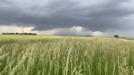 dark and scary looking storm clouds with possible tornado forming in the distance