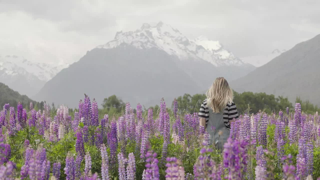 Woman walking through a field of lupines with mountains in the background