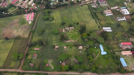 Small-town-of-Loitokitok-Kenya---March,-2021:-Loitokitok-maize-farm,-Loitokitok,-Kenya