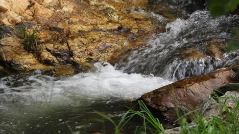 Crystal-clear-fresh-mountain-waterfall-crocodile-river-water-sparkling-and-flowing-over-rocks-and-pebbles-in-the-background-at-the-walter-sisulu-national-botanical-gardens-in-roodepoort,-South-Africa